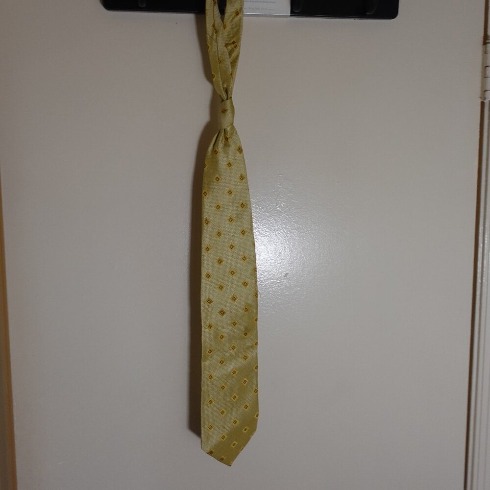 Silk Neck Tie - Carlo Palazzi